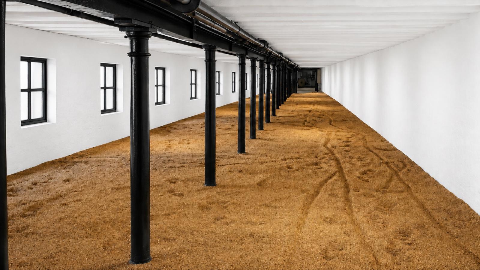 Historic malting floor with barley spread out for germination