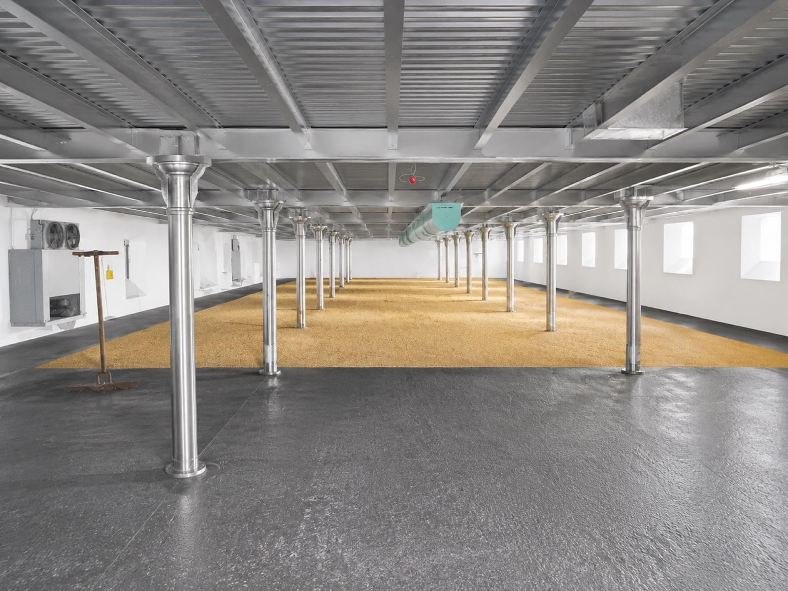 Modern malting facility — barley spread on germination floor with temperature-controlled environment